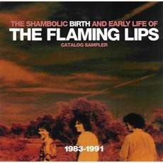 the flaming lips the soft bulletin 320 torrent